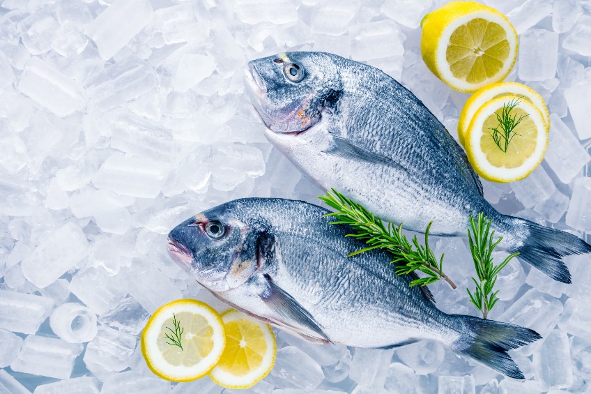 pescados congelados